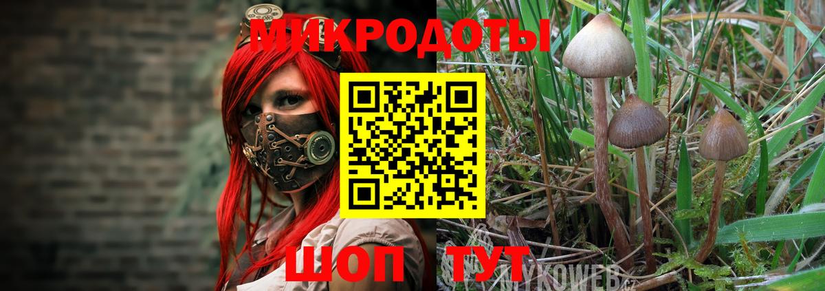 как найти   Псилоцибиновые грибы MAGIC MUSHROOMS  Вход с VPN  Псилоцибиновые грибы Magic Shrooms  Советская Гавань 